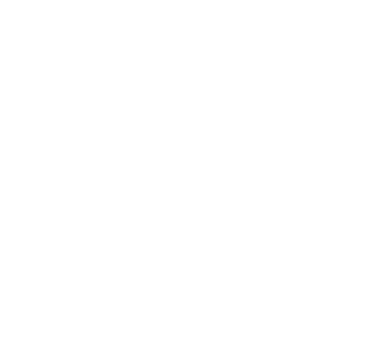 Bridge_bl